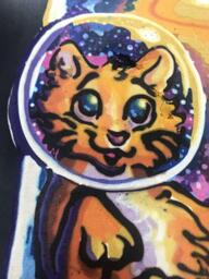 Galaxy Kitten Face Close-up