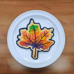 Colorful Maple Leaf Pancake Art