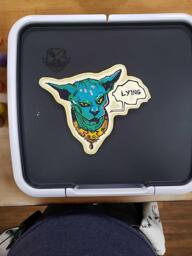 Lying Cat Pancake Art