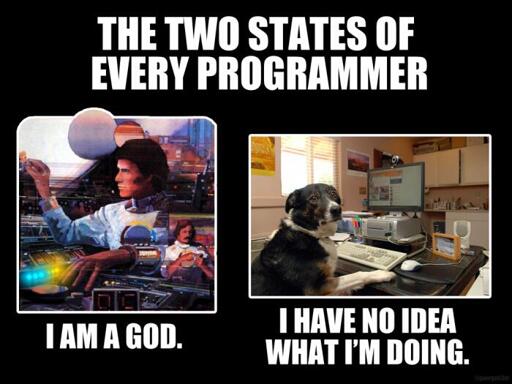 A meme describing the two states of being a programmer. A God or a cluess dog.
